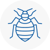 Bed Bug Extermination In Hexham