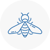 Bee Nest Removal Hexham