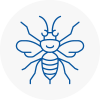 Hexham Hornet Nest Removals