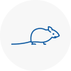 Mice Exterminators In Hexham