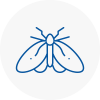 Moth Control Specialists In Hexham