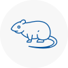 Rat Control Hexham