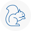 Hexham Rodent Removals